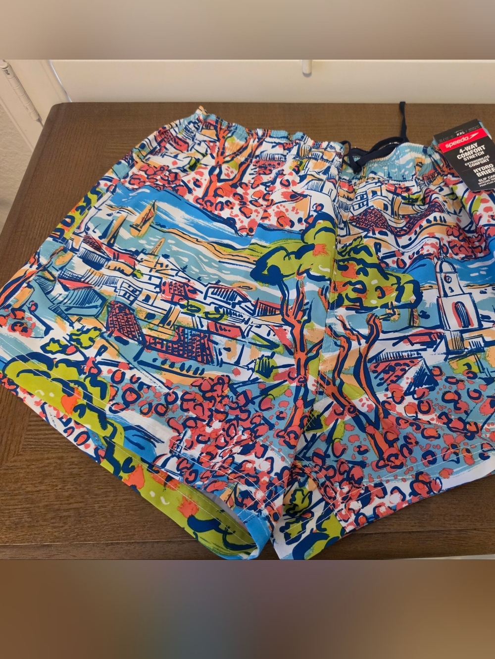 Speedo Blue Multicolor Scenic Print Men's Swim Shorts